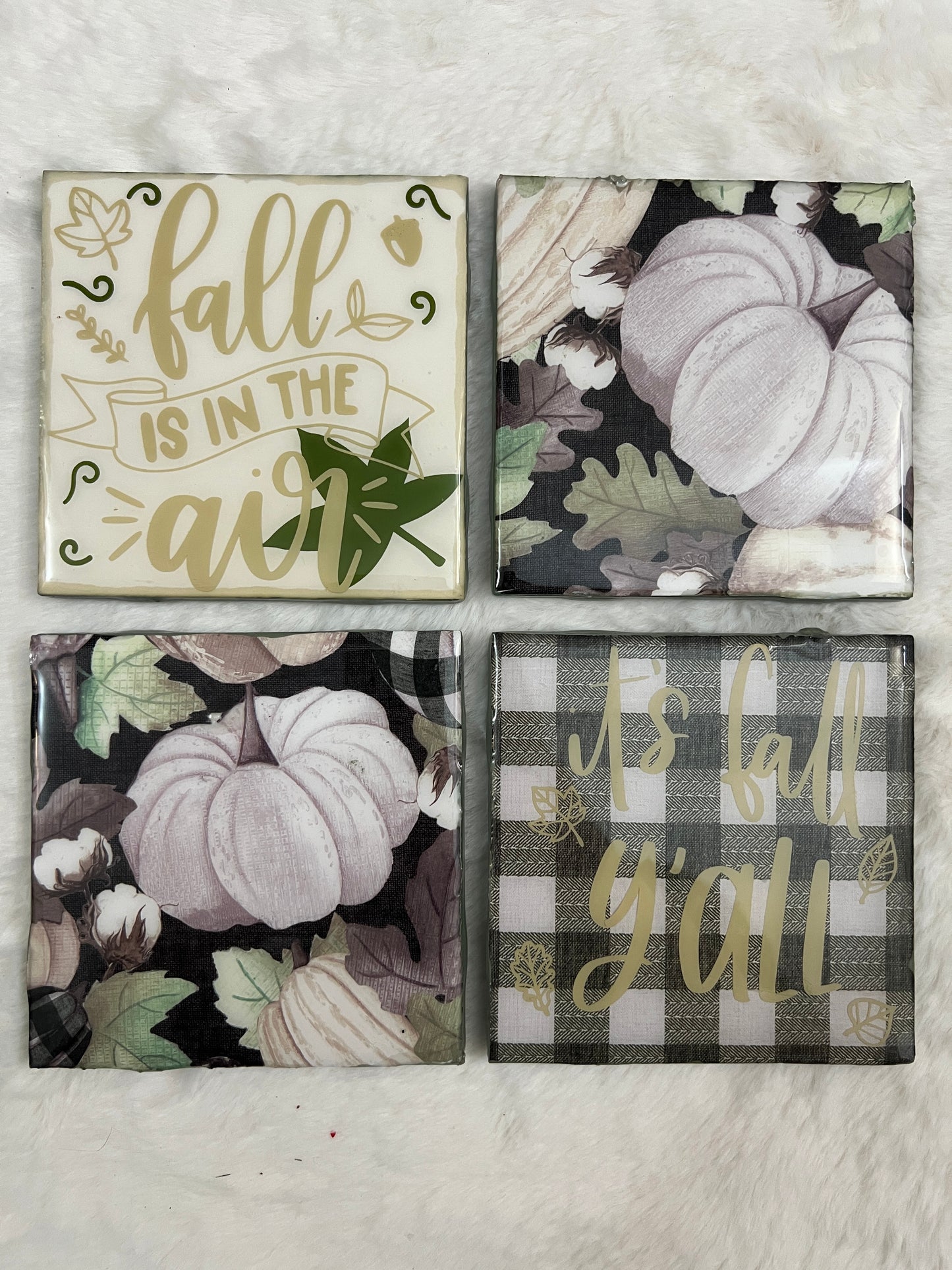Fall Delights Coaster Set