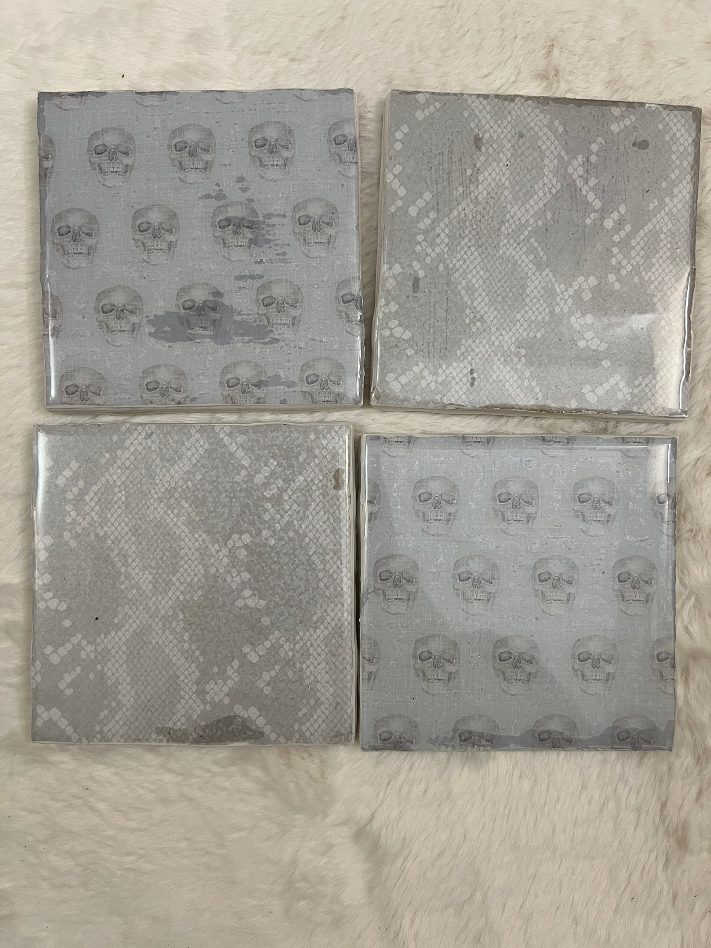 Skulls & Snakes Coaster Set