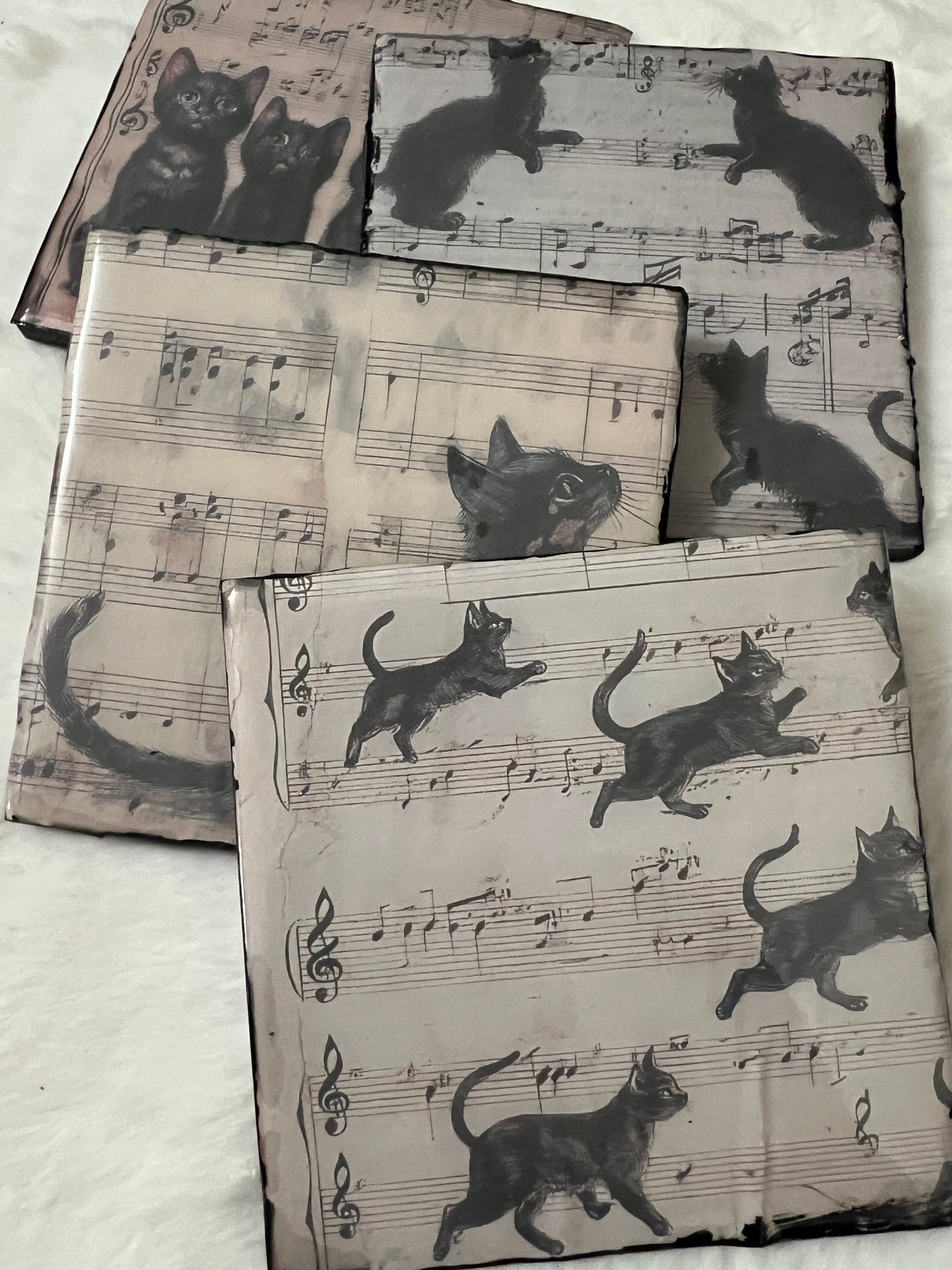 Meow-lody Coaster Set