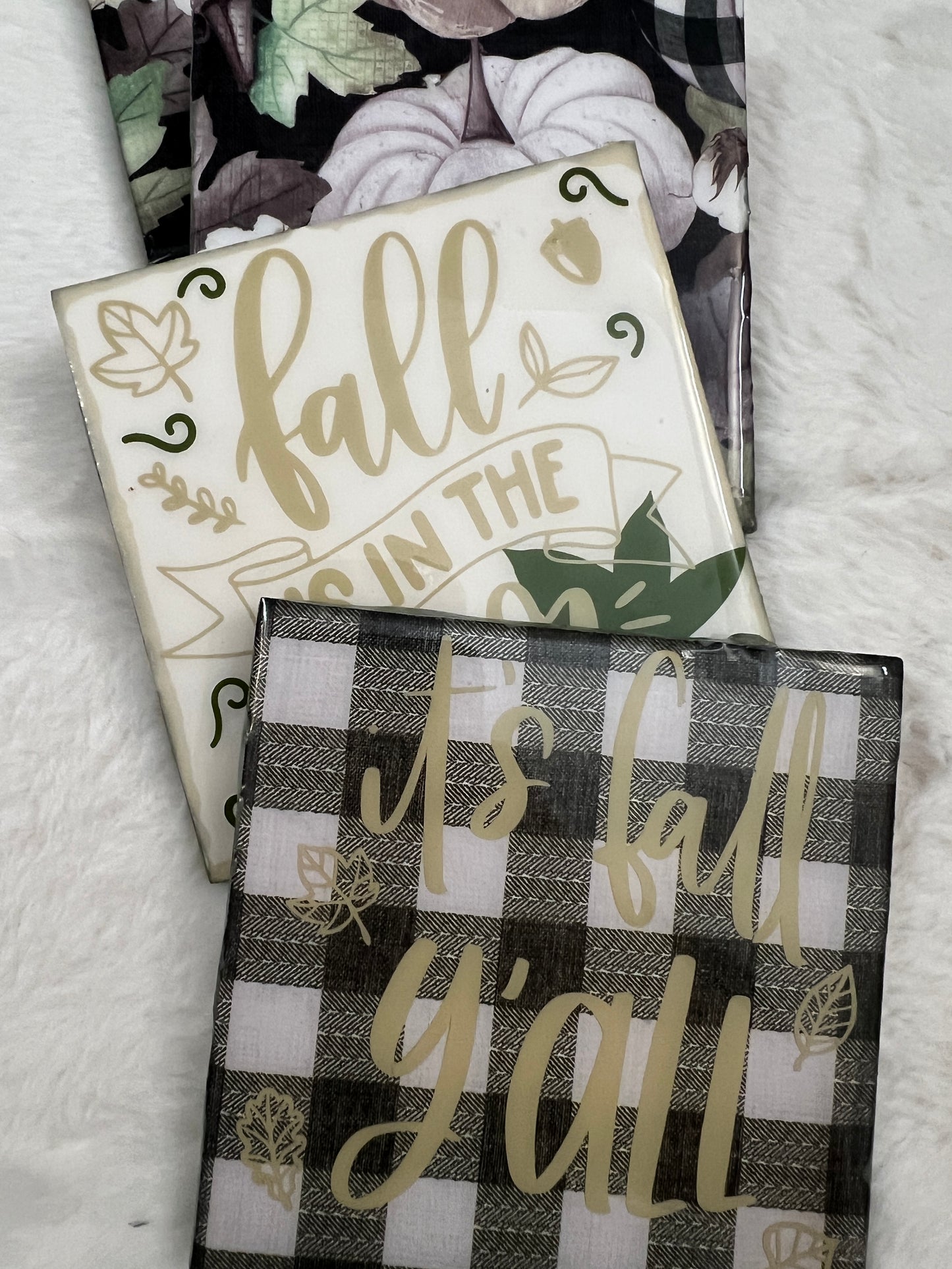 Fall Delights Coaster Set
