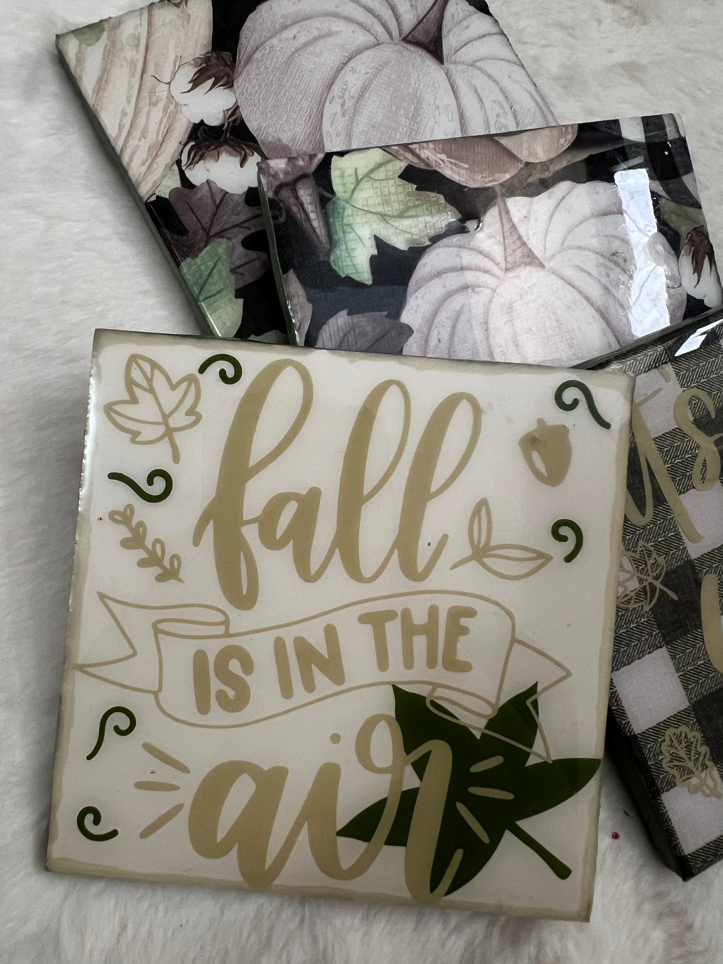 Fall Delights Coaster Set