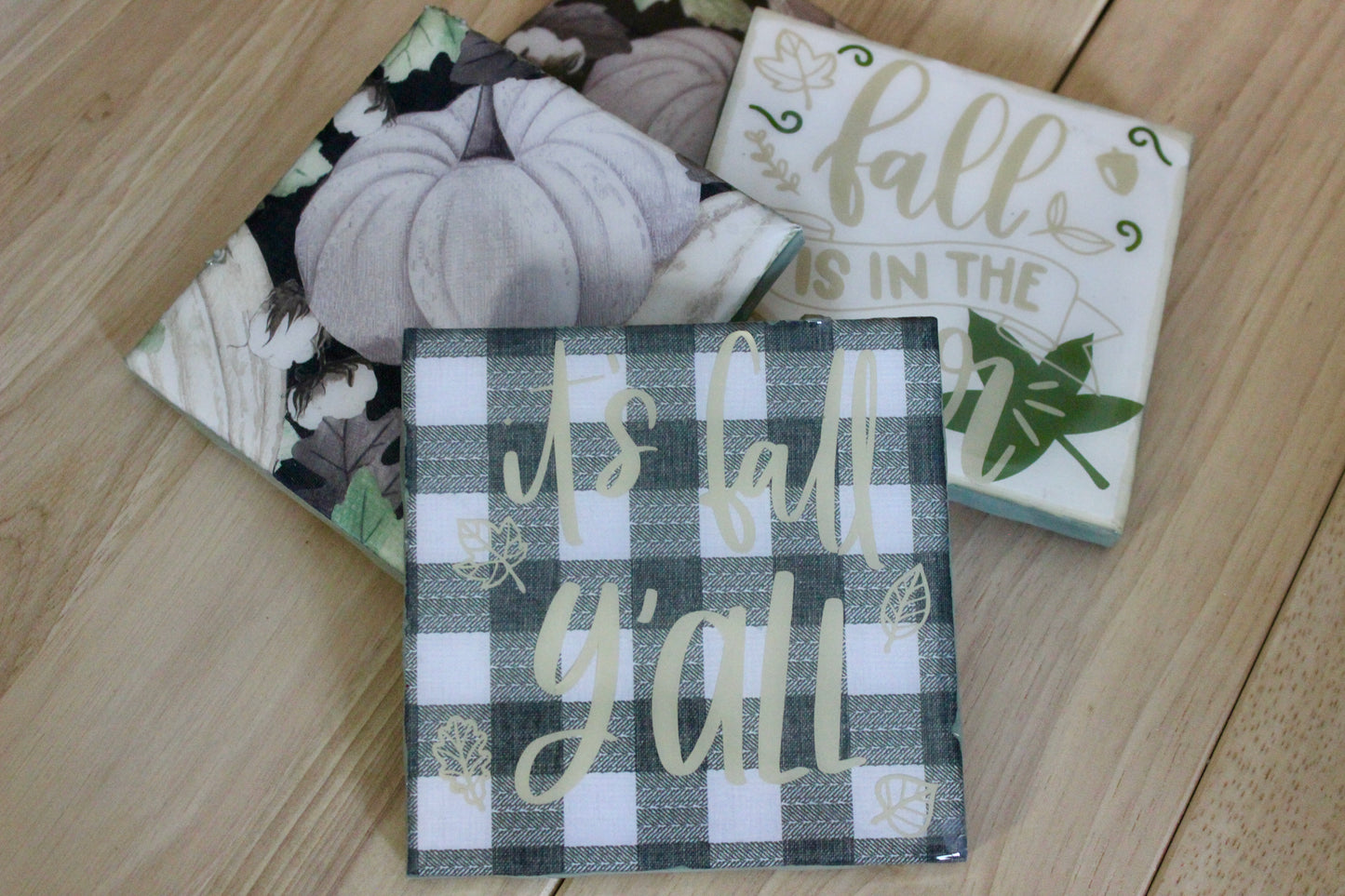 Fall Delights Coaster Set