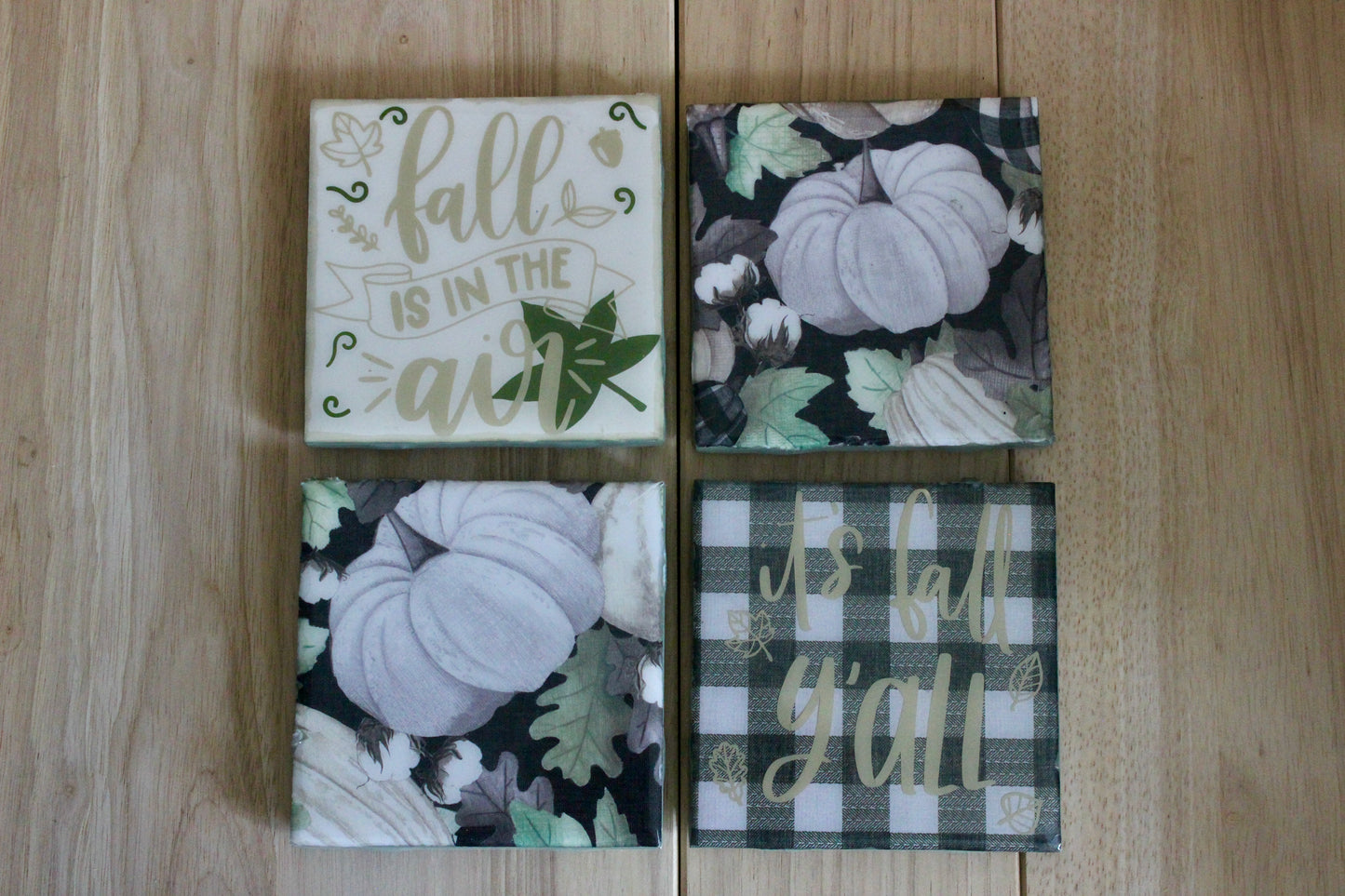 Fall Delights Coaster Set