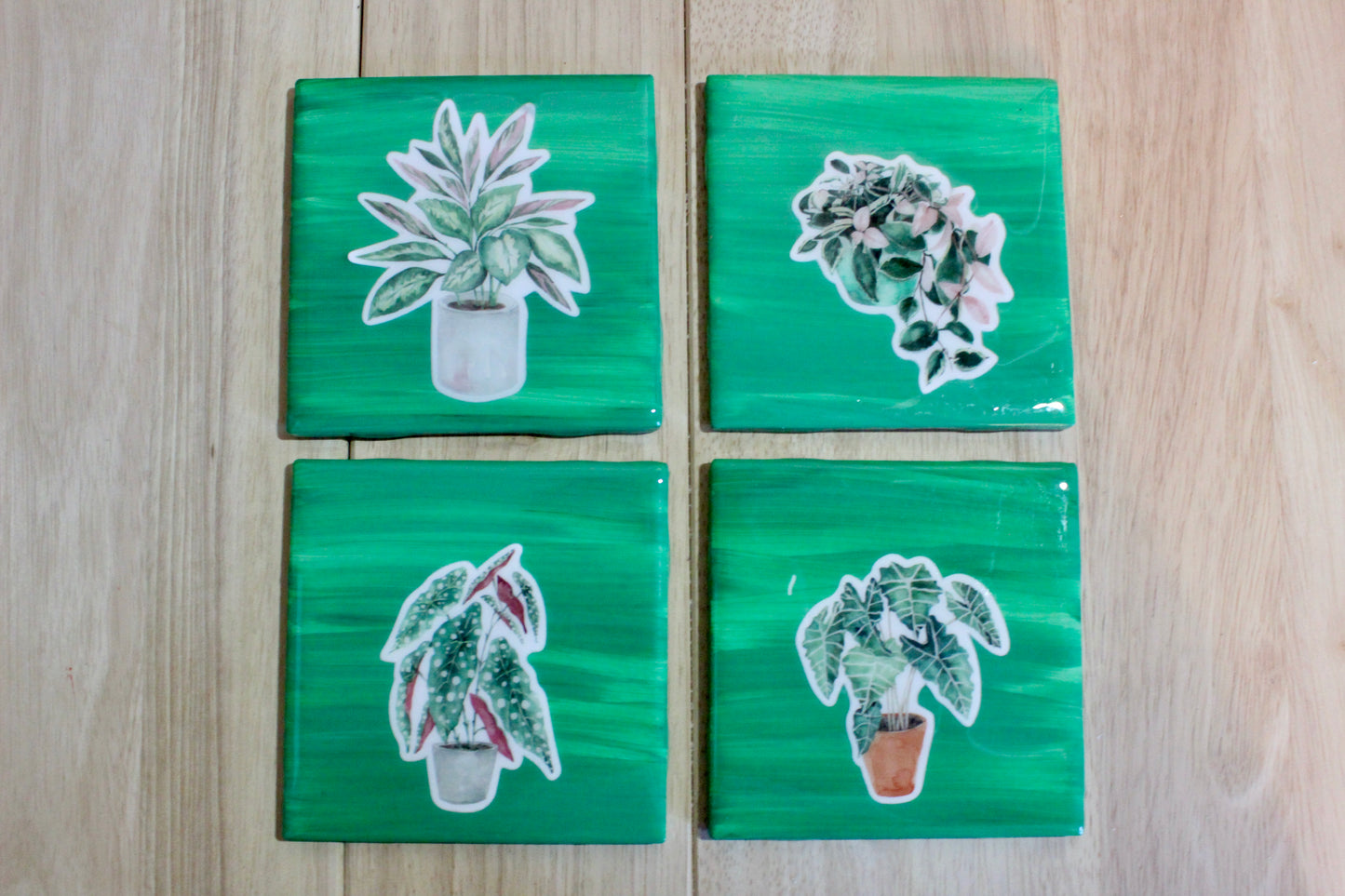 Plant-tastic Coaster Set