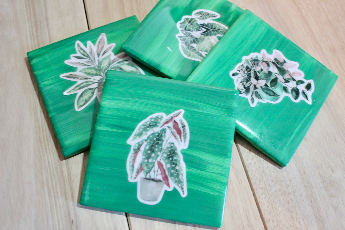 Plant-tastic Coaster Set