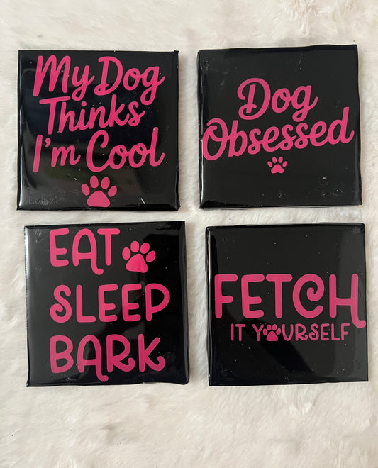 So Fetch Coaster Set