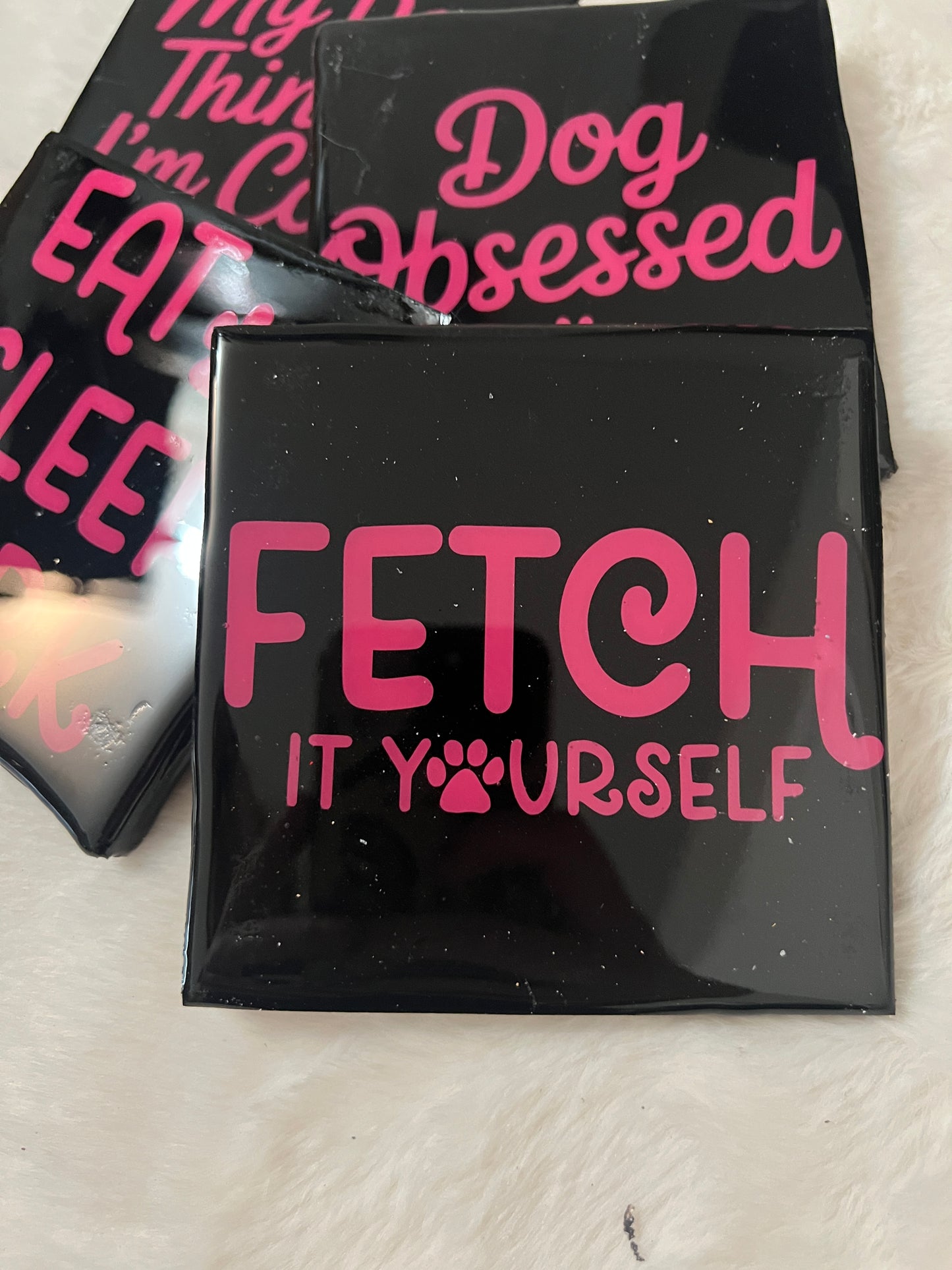 So Fetch Coaster Set