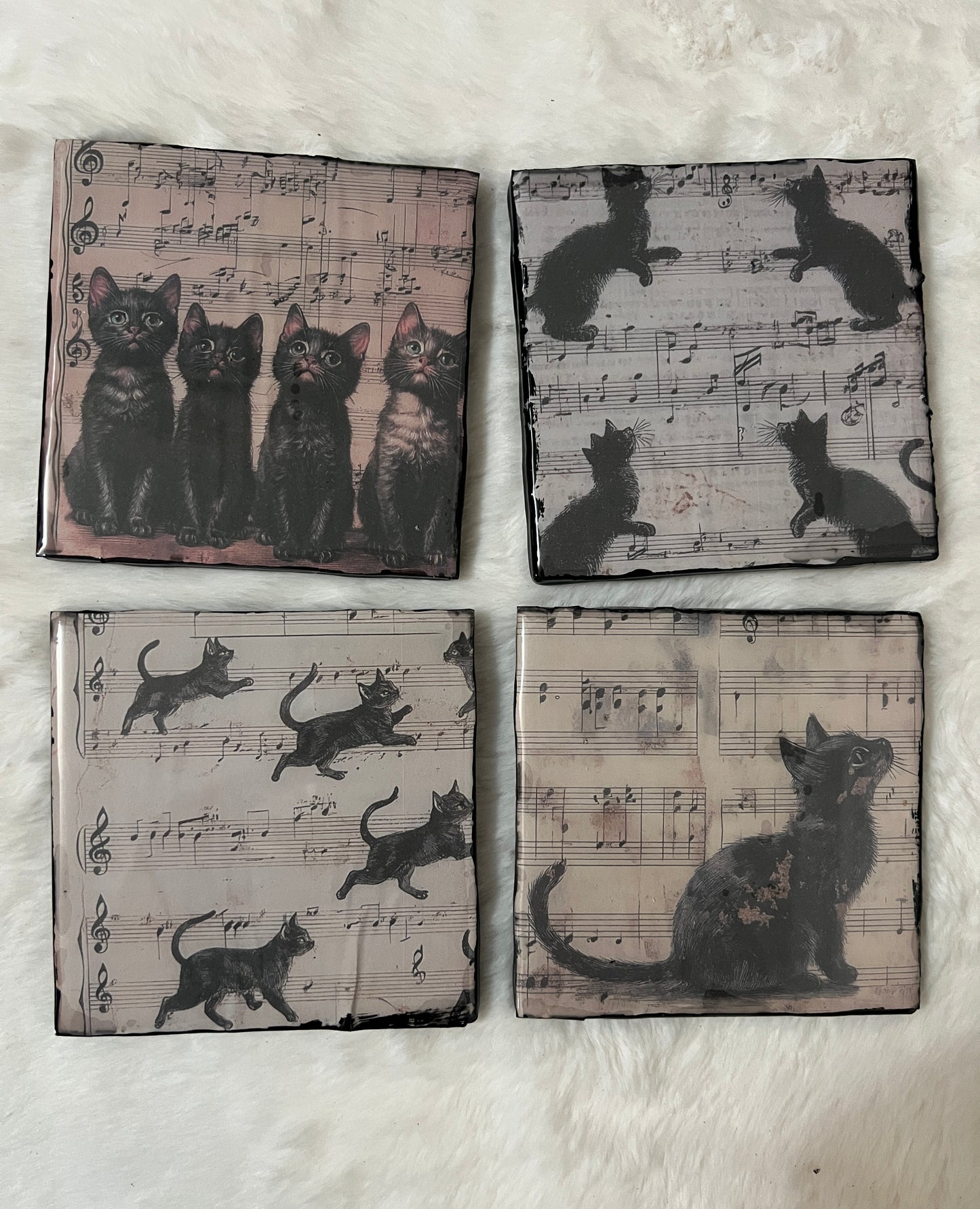 Meow-lody Coaster Set