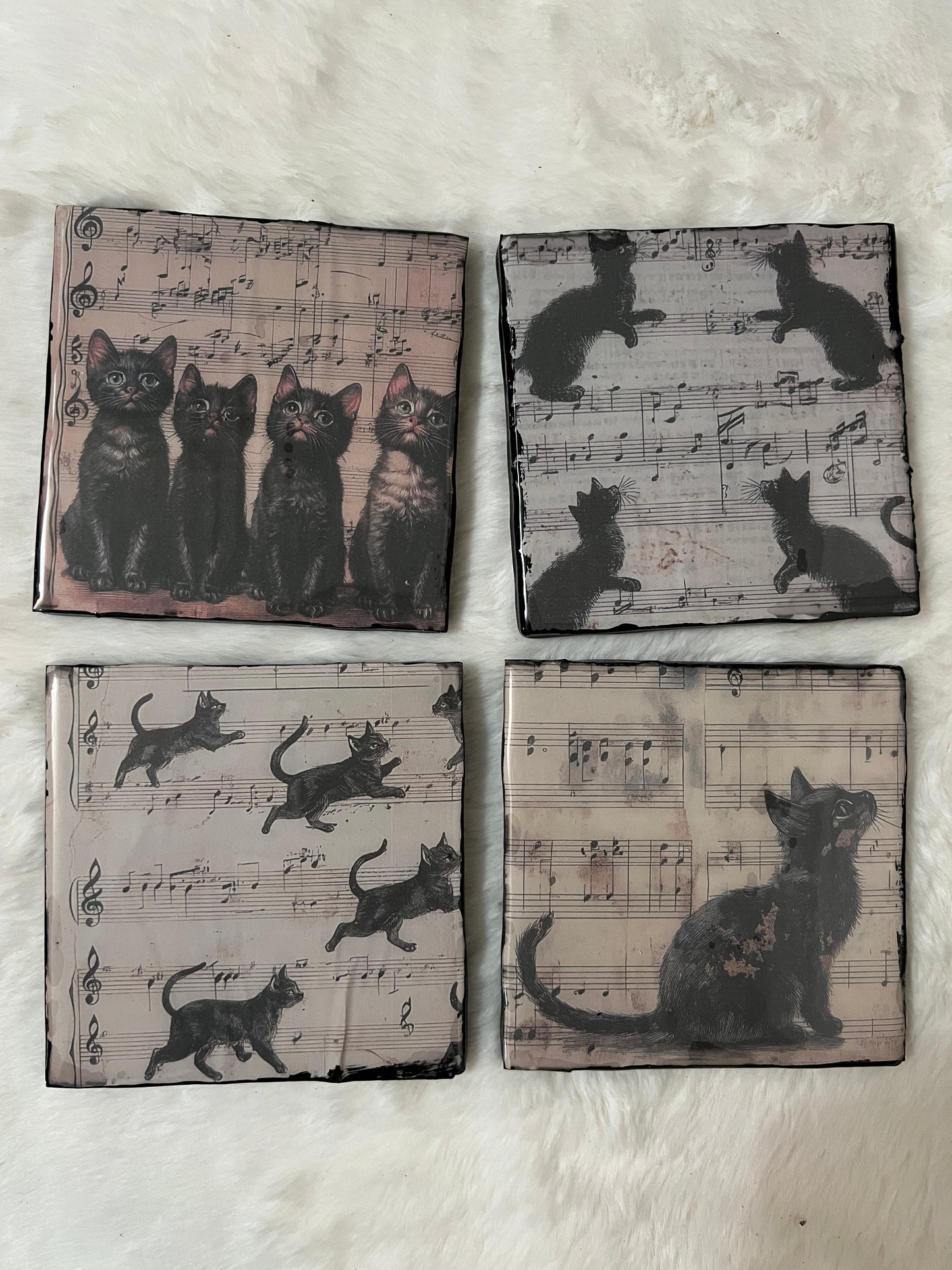 Meow-lody Coaster Set