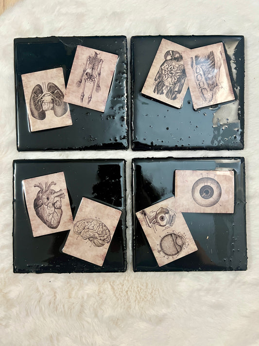 All the Parts Coaster Set