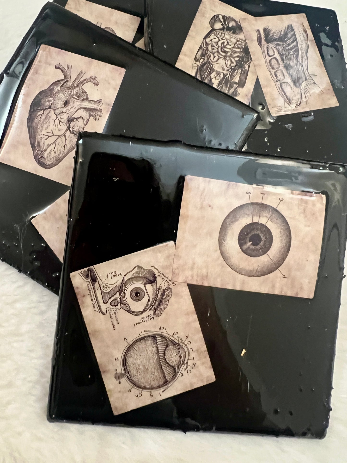 All the Parts Coaster Set