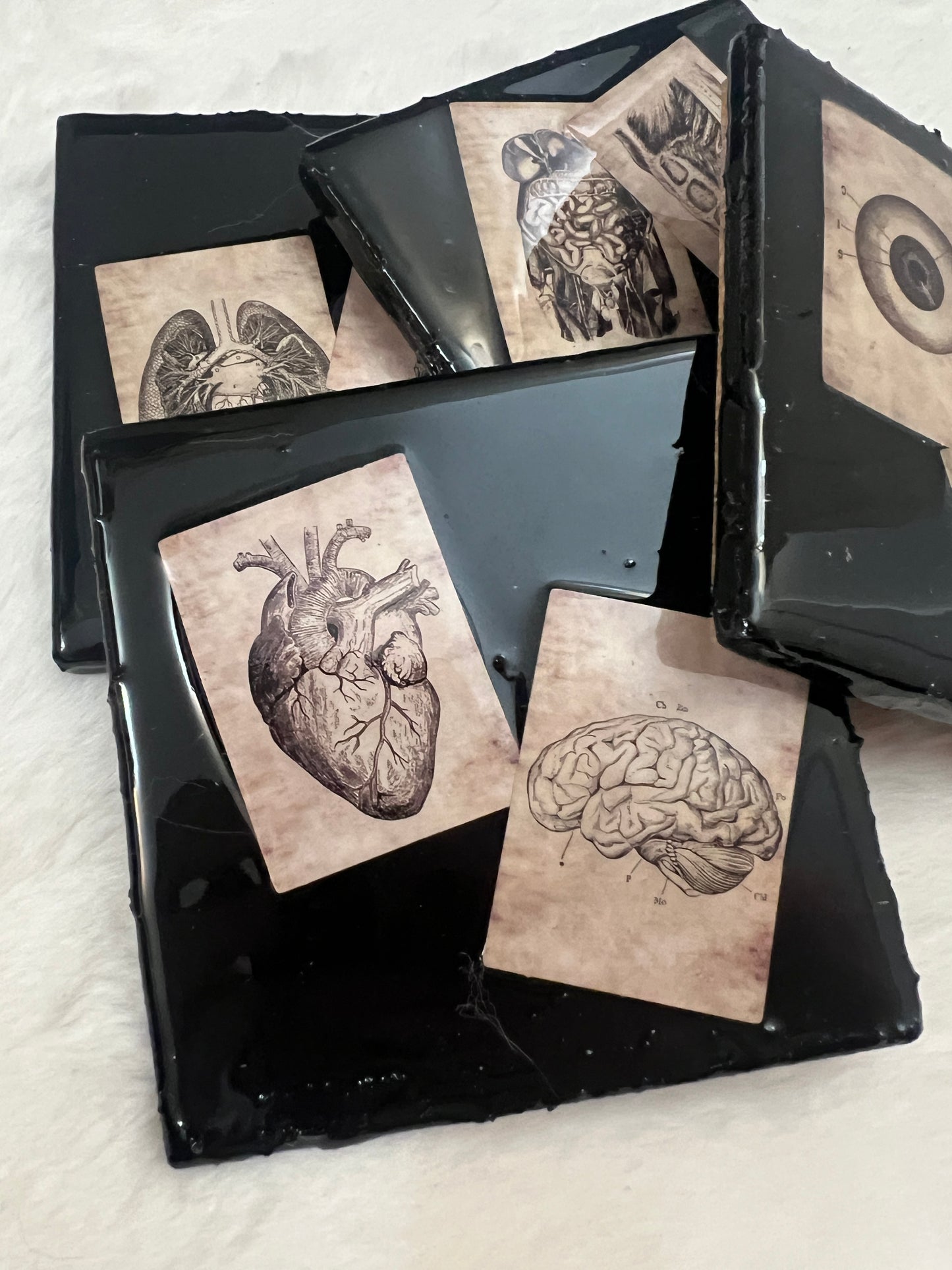 All the Parts Coaster Set